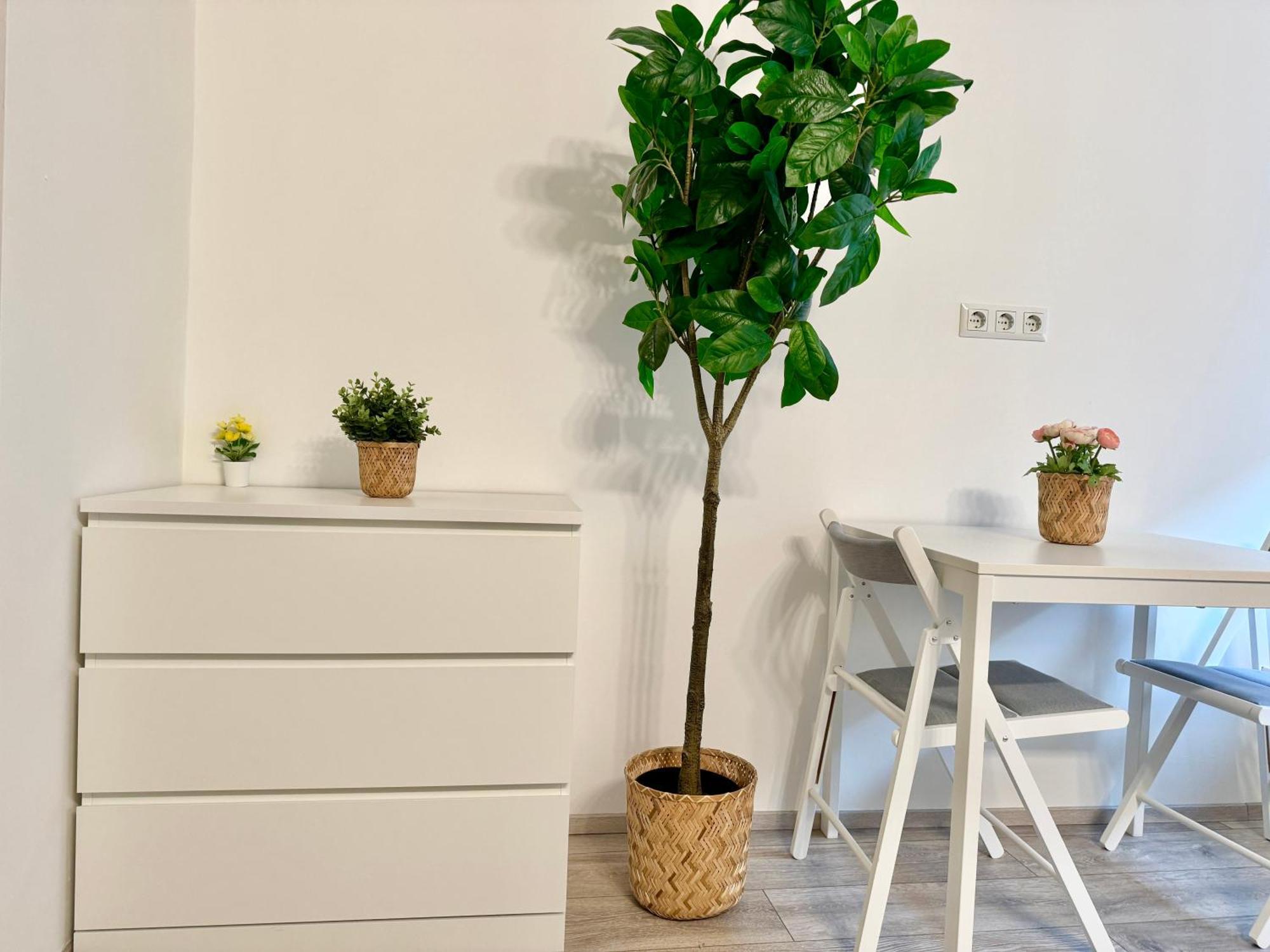 Stylish Schonbrunn Apartments - Free Underground Parking Wien Ngoại thất bức ảnh