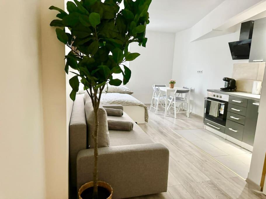 Stylish Schonbrunn Apartments - Free Underground Parking Wien Ngoại thất bức ảnh